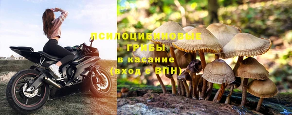 герыч Аркадак